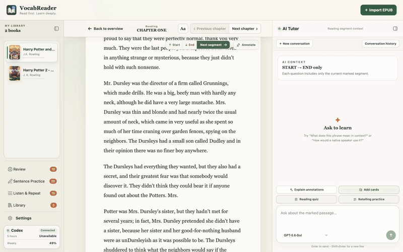 AI Tutor explaining meaning and grammar from the surrounding reading context